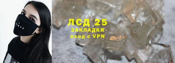 PSILOCYBIN Ельня