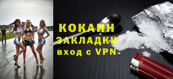 PSILOCYBIN Ельня