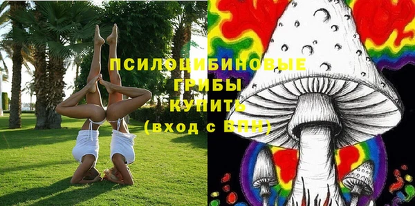 apvp Елизово