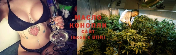 PSILOCYBIN Ельня