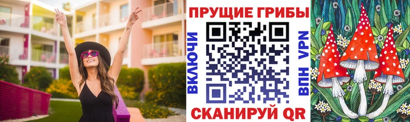 купить наркотик  Межгорье  кракен как войти  Псилоцибиновые грибы Psilocybine cubensis 